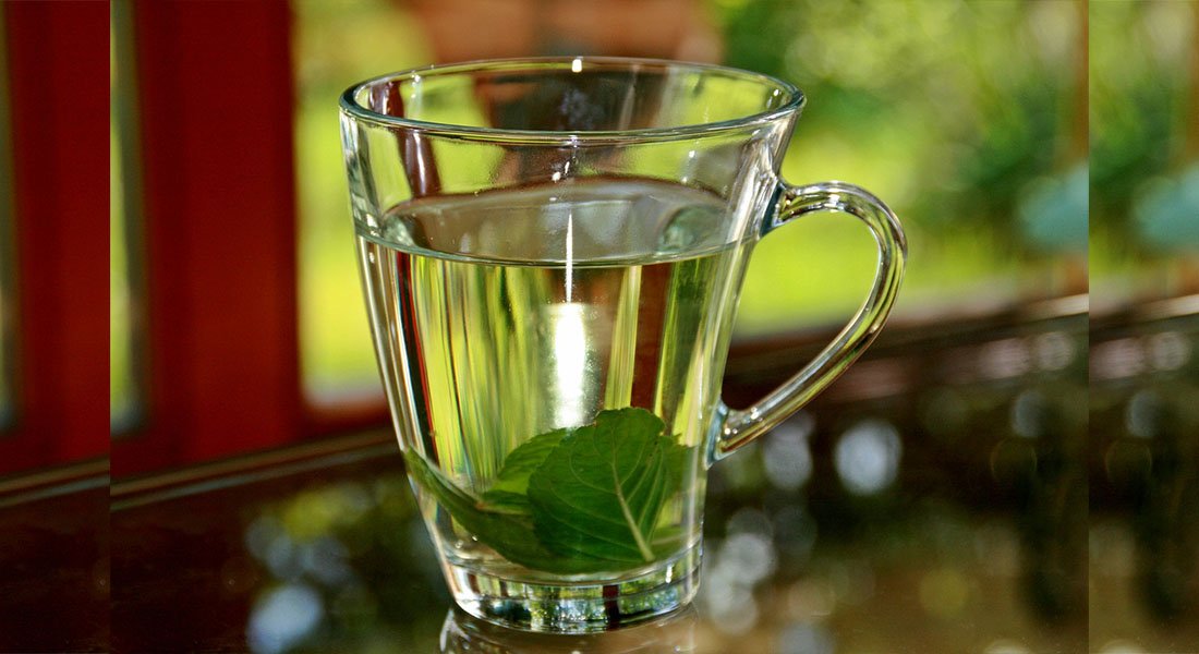 Mint Leaves in Clear Glass of Water