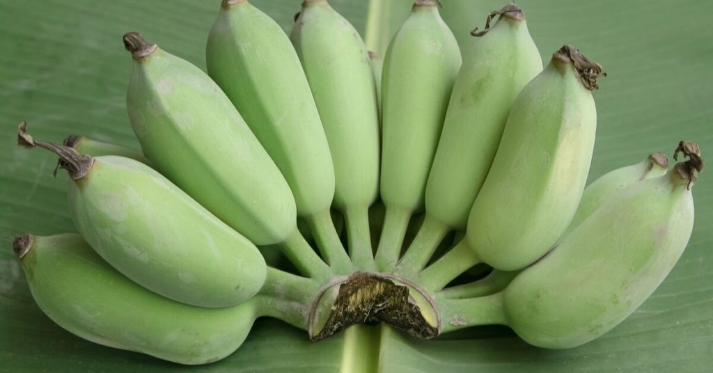 Green Banana