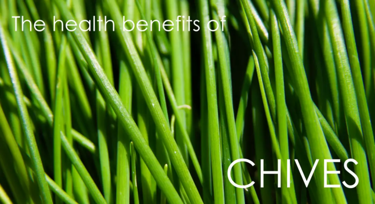 Health Benefits of Chives