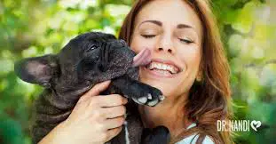 Why You Should Never Let Your Dog Lick You!