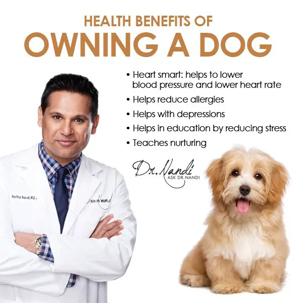 Nandi_HealthBenefits_DOG_600x600