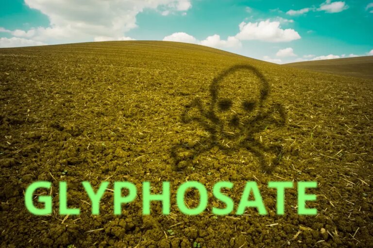 Glyphosate May Affect Human Gut Microbiome