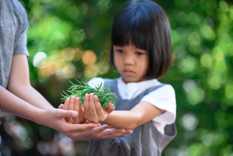 Gut Microbiome Plays Role In Autism, Study Finds