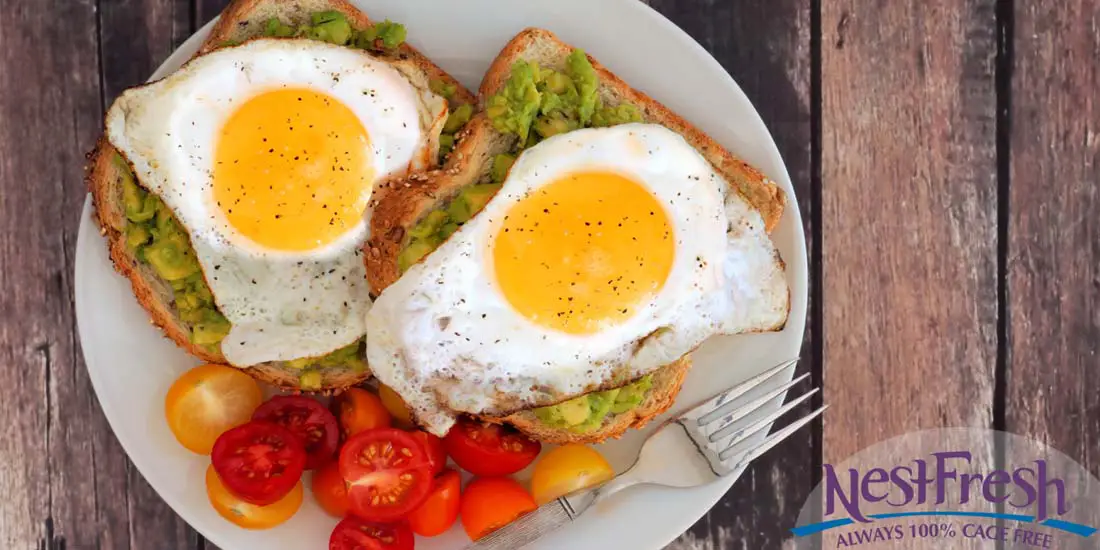 Dr. Nandi's Fried Egg and Avocado Toast