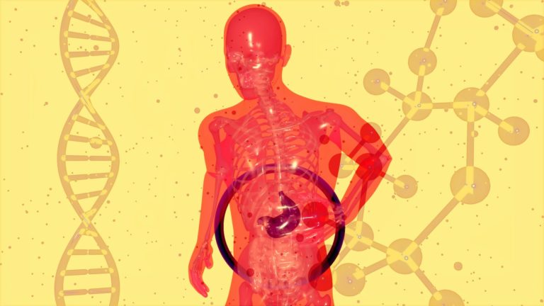 New Evidence Uncovers Connection Between Fibromyalgia and Gut Health